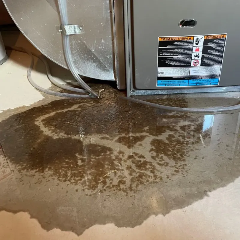 Pipe Burst and Leak Restoration in Fort Ashby, WV