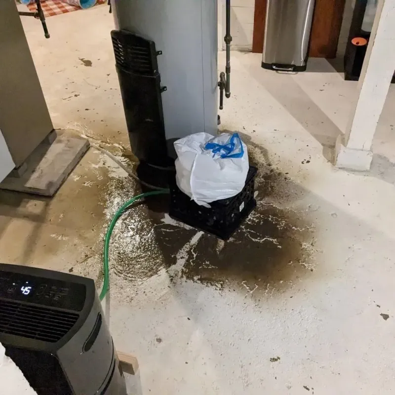 Sewage Backup Cleanup Service in Fort Ashby, WV